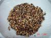 Soaked Seed Sprouted