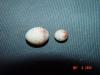 Canary Eggs