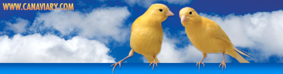 Canaviary.com